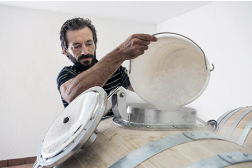 Terroir with potential